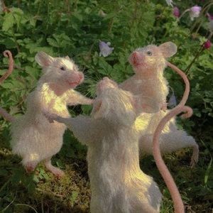 Meet your Posher, Abigail